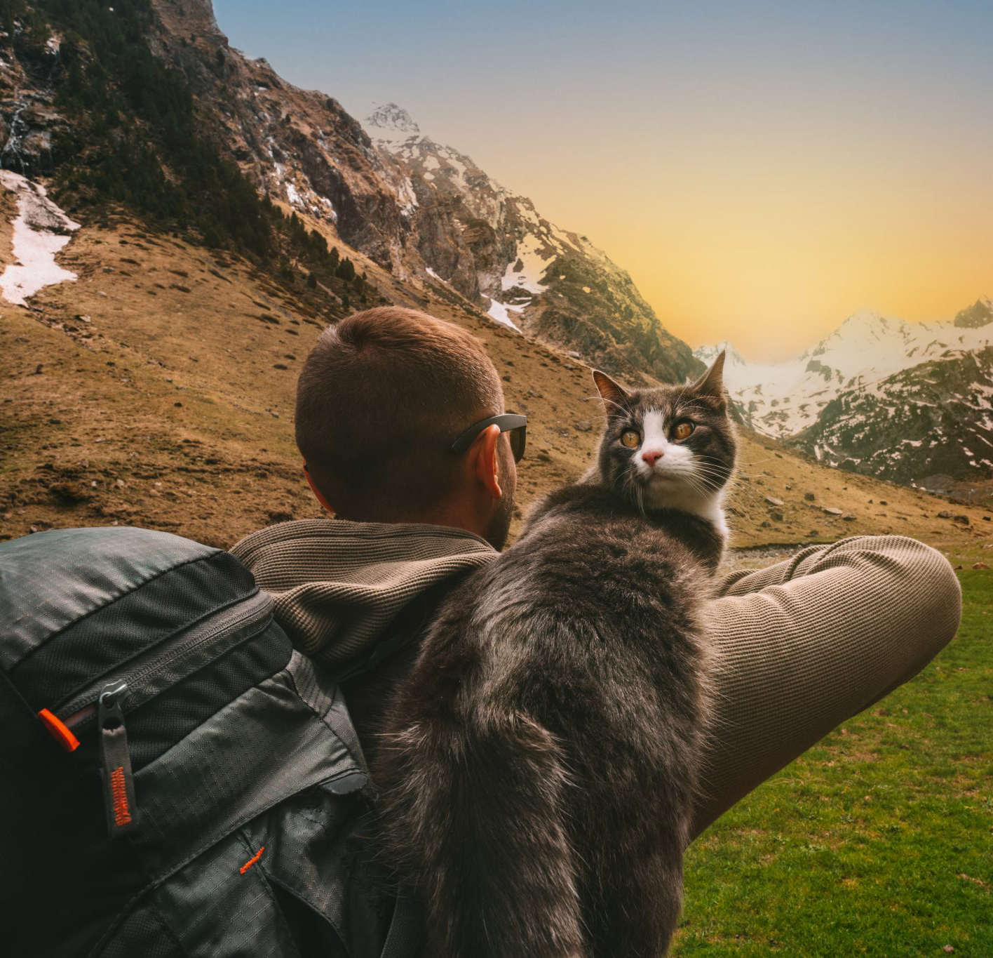 A man is hiking in the mountains with a cat on his back